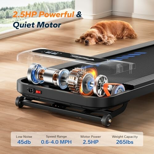 Treadmill showcasing motor specifications with a dog lying nearby.