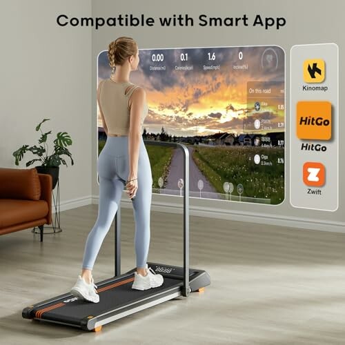 HitGo 2-in-1 Walking Pad Treadmill